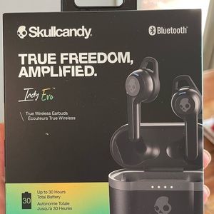 Skull candy true freedom amplifier